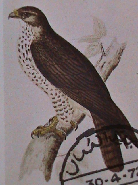 STATE OF OMAN STAMPS: 1972   RARE BUZZARD BIRD IMPERF:  CTO-MNH S/S SHEET
