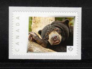 FUNNY BEAR picture postage stamp MNH Canada 2013 [p4w6/5]
