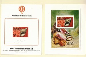 GRENADA-GRENADINES - NH SOUVENIR SHEET OF 1976 -IMPERF & PROOF - SHELLS - (WG09)