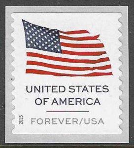 USA Sc. 6018 (F) Flag 2025 MNH APU coil spaces single