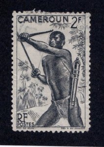 Cameroun      313            used