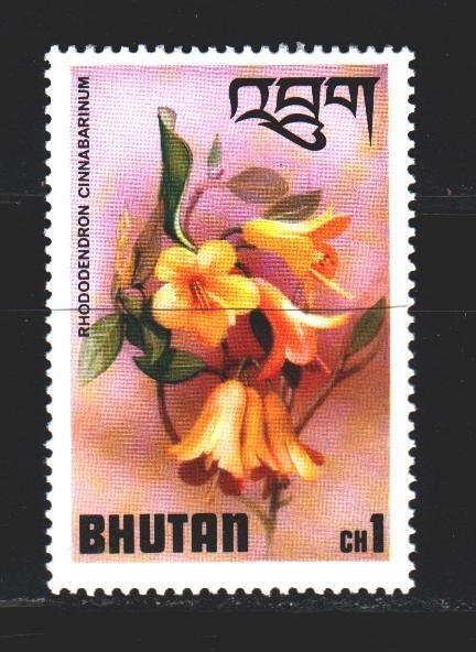 Bhutan. 1976. 638 from the series. Orchids flowers flora. MNH.