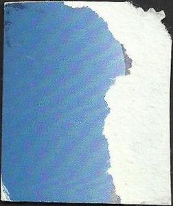 # 5679 Used Mountain Flora