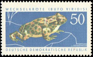 Germany DDR #663-667, Complete Set(5), 1963, Animals, Never Hinged