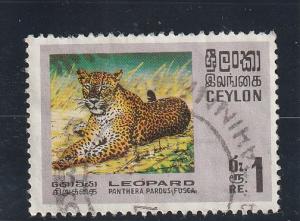 Ceylon  Scott#  442  Used  (1970 Leopard)