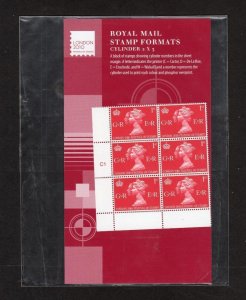 2010 FESTIVAL OF STAMPS/GEORGE V (CYLINDER BLOCK) FORMAT PACK