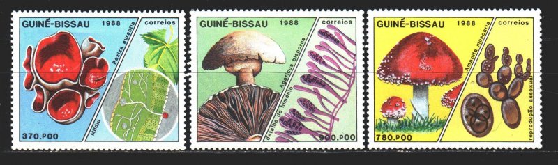 Guinea-Bissau. 1988. 989-94 from the series. Mushrooms. MNH.