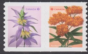 Canada - *NEW* Wildflowers (2024), Die Cut Coil Pair - MNH