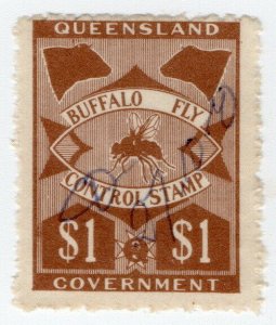 (I.B) Australia - Queensland Revenue : Buffalo Fly $1