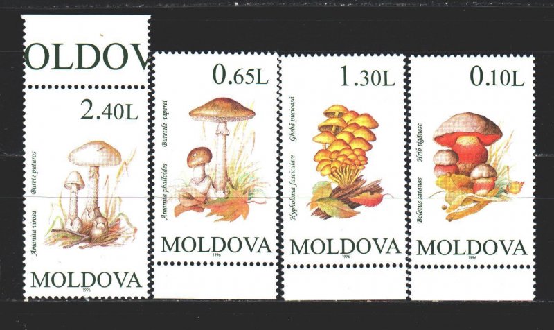 Moldova. 1995. 191-94 from the series. Mushrooms. MNH. 