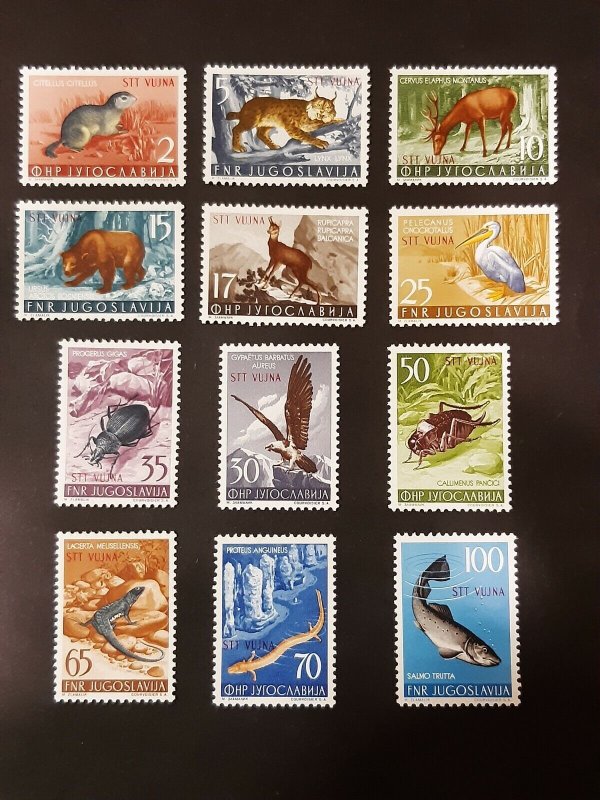 STT Vujna 1954. - Yugoslavia Trieste Zone B Fauna ** MNH Full set excellent