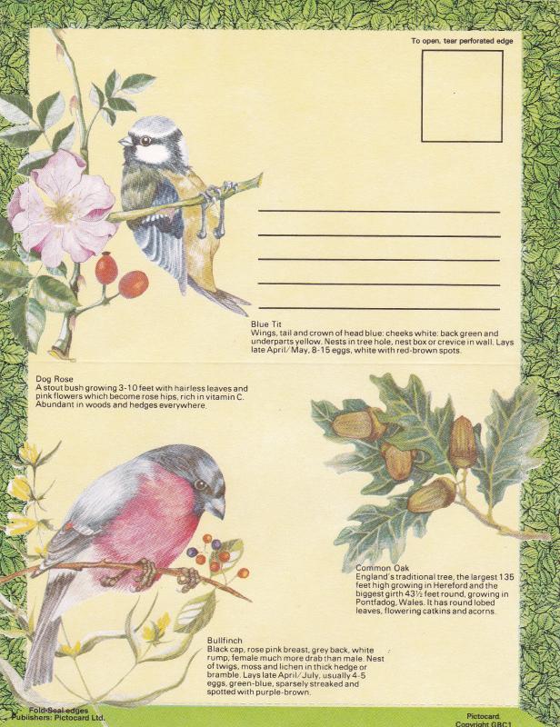 GB Lettercard Birds and Trees Unused VGC