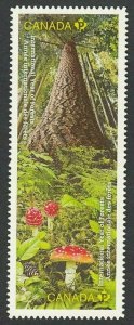 MUSHROOMS = DIE CUT Se-tenant pair from Quarterly Pack Canada 2011 #2463i MNH