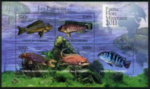 COMORO ISLANDS - 2011 - Fishes - Perf 5v Sheet - MNH - Private Issue
