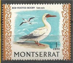 MONTSERRAT, 1970, MNH 1c, Birds: Scott 231