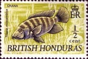 British Honduras 1971; Sc. # 235;  MNH Single Stamp