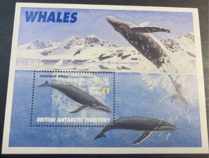 BRITISH ANTARCTIC TERR. # 248--MINT/NEVER HINGED--SOUVENIR SHEET --1996