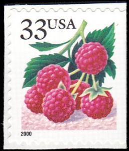 3295a Raspberries 2000 Date MNH