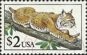 # 2482 USED BOBCAT