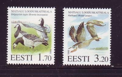 Estonia Sc 283-4 1995 Matsalu Nature Reserve stamp set mi...