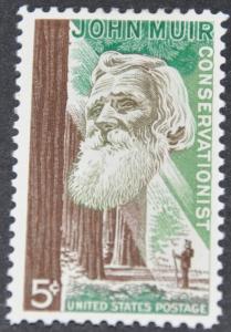 DYNAMITE Stamps: US Scott #1245  MNH