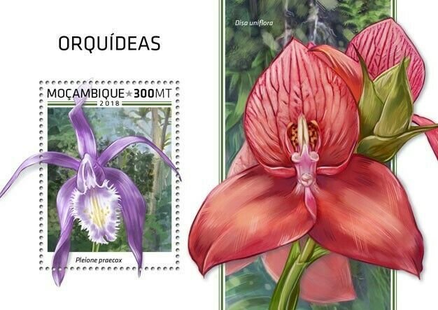 HERRICKSTAMP NEW ISSUES MOZAMBIQUE Orchids S/S