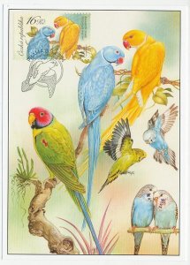 Maximum card Czech Republic 2004 Bird - Parakeet - Lovebird