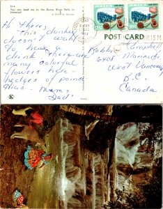 Jamaica, Picture Postcards