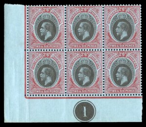 Southern Nigeria #53 Cat$60+ (for hinged), 1912 2sh6p red and black, plate bl...