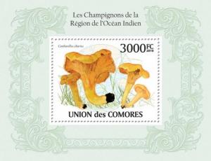 COMORES 2010 SHEET MUSHROOMS OF THE REGION INDIAN OCEAN CHAMPIGNONS cm10117b