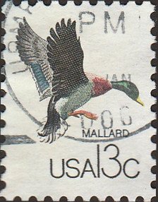 # 1757b USED MALLARD
