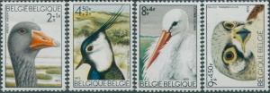 Belgium 1972 SG2293-2296 Birds from Zwin Nature Reserve MNH