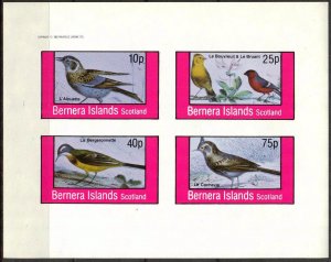 {B307} Bernera Scotland Birds (12) Sh.4 Imperf. MNH Cinderella !!