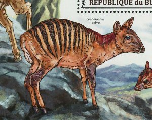 Arecia Rubra Stamp Cephalophus Zebra Endangered Animals S/S MNH #3312 / Bl.386