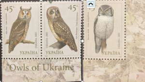 A) 2003, UKRAINE, OWLS, ASIO OTUS, ASIO FLAMMEUS, SURNIA ULULA