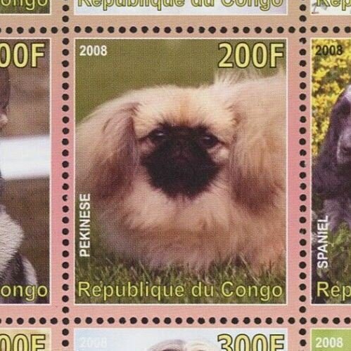 Congo Dog Domestic Animal Pet Souvenir Sheet of 9 Stamps Mint NH