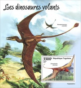 TOGO - 2022 - Flying Dinosaurs - Perf Souv Sheet  - Mint Never Hinged