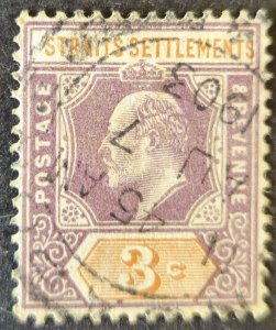 Malaya Straits Settlements 1902 SG111  used 3c. dull purple & orange