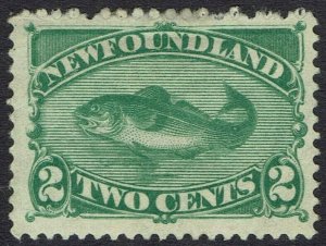 NEWFOUNDLAND 1896 COD FISH 2C GREEN