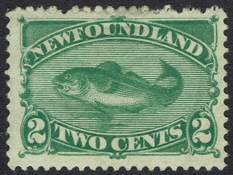 NEWFOUNDLAND 1896 COD FISH 2C GREEN