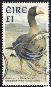 Ireland 1319 - Used - 1pound Greenland White-fronted Goose (2001) (cv $7.00)