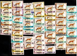Ethiopia #1393A//1393T Simian foxes mix: clean perfs #2