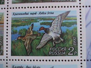 RUSSIA-1992-SC#6092A  LOVELY BEAUTIFUL DUCKS MNH SHEET  WE SHIP TO WORLD WIDE