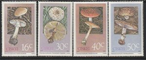 1988 South Africa - Ciskei - Sc 127-30 - MNH VF - 4 singles - Mushrooms