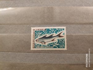 Cameroon	fishes (F7)