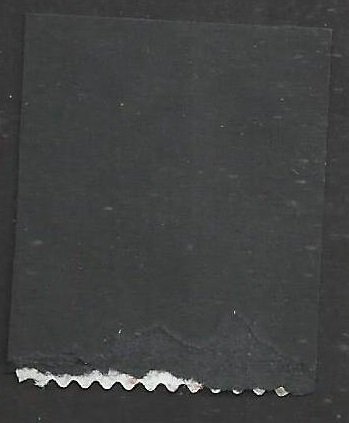 # 5676 Used Mountain Flora