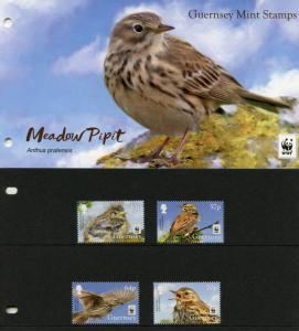 Guernsey 2017 MNH Meadow Pipit WWF 4v Set Presentation Pack Birds Stamps