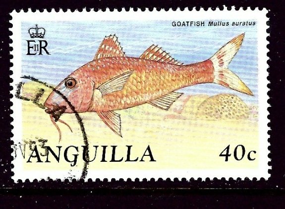 Anguilla 798 Used 1990 Fish    (ap4168)