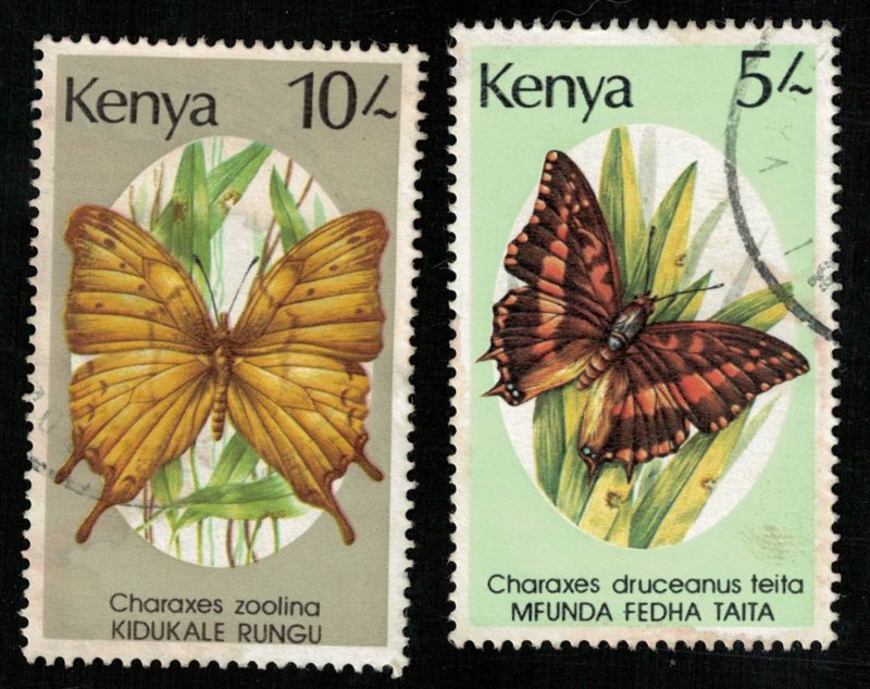 Butterflies, (3642-T)