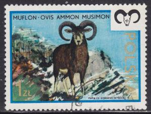 Poland 1972 Mouflon 1.00zł 1973